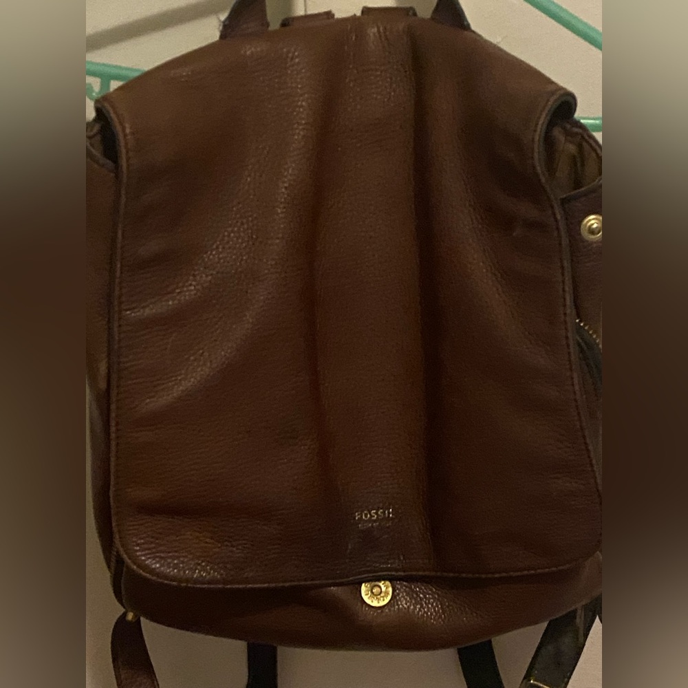 Fossil Knapsack - image 1